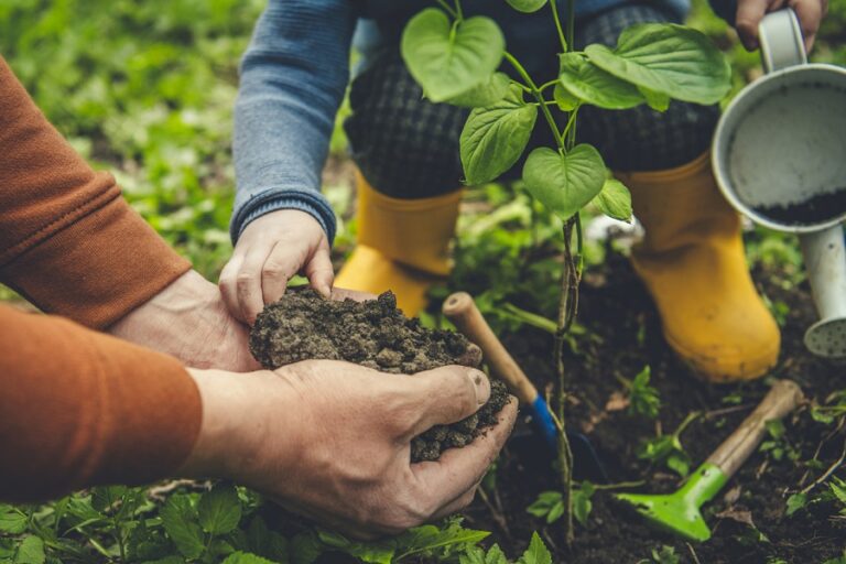 Parent's hands and his child helping gardening on Arbor day in springtime