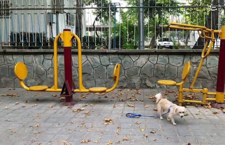 photo_2025-05-31_14-54-30