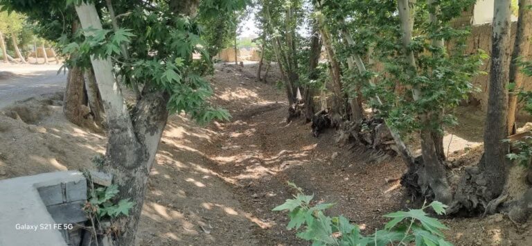 photo_2025-06-01_23-35-43