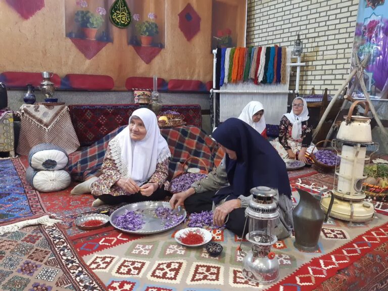 photo_2025-11-08_06-34-55