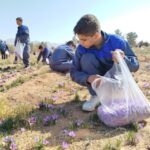 2094310fV7BrSeGY0jQIM51O