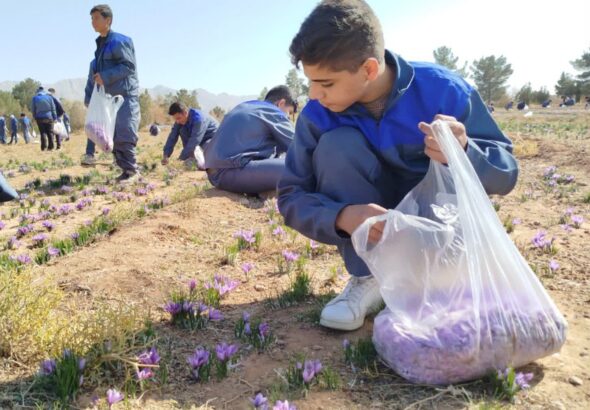 2094310fV7BrSeGY0jQIM51O