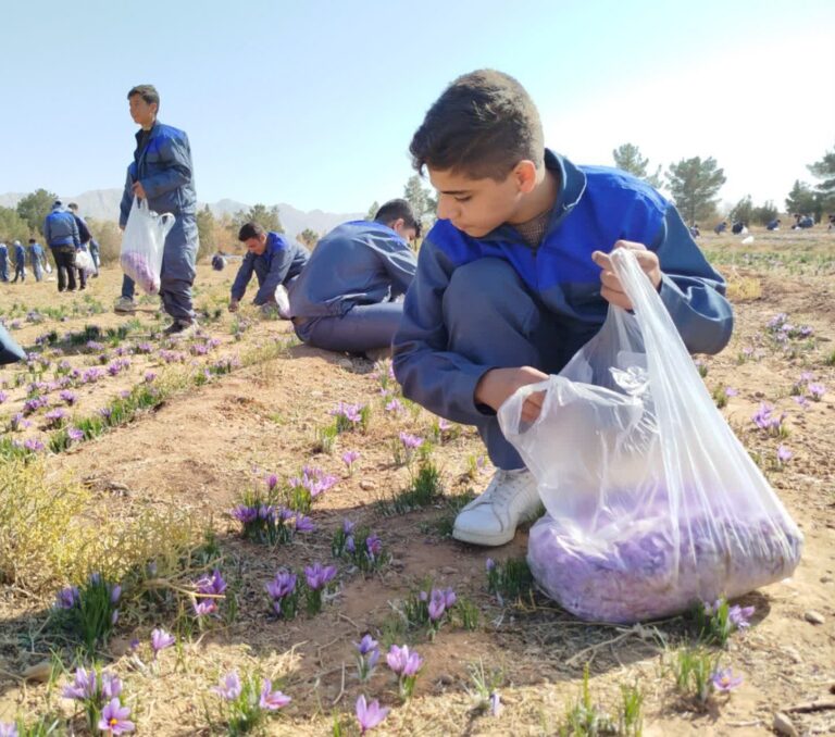 2094310fV7BrSeGY0jQIM51O